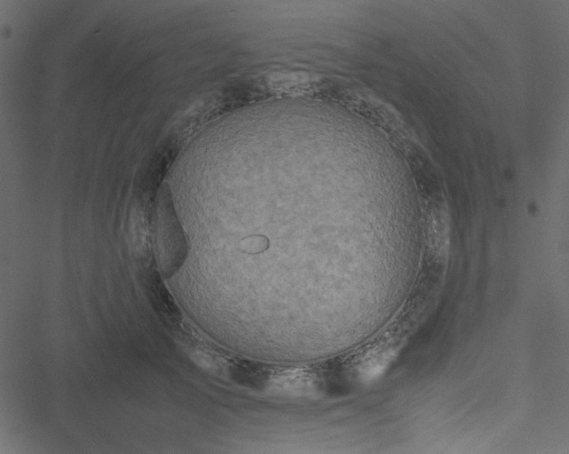 X0000051240705200506171110