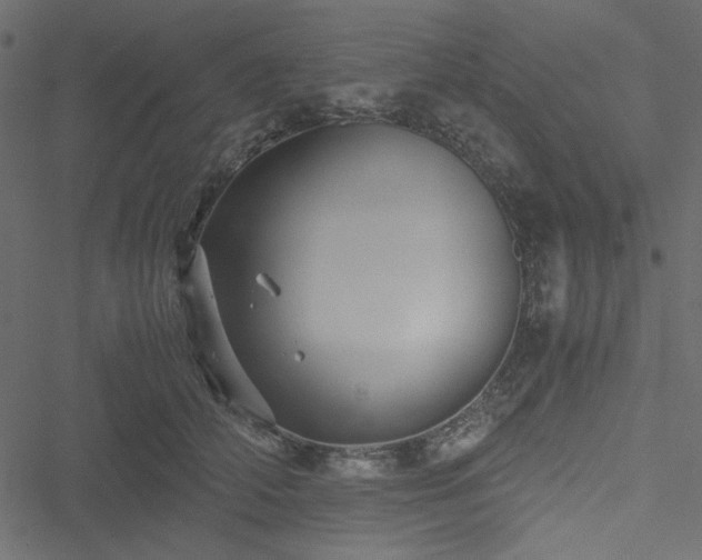 X0000051240706200506171110