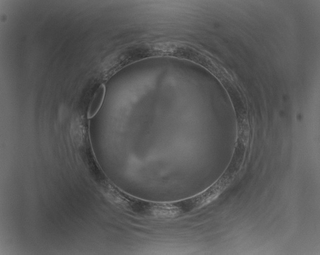 X0000051240707200506171110