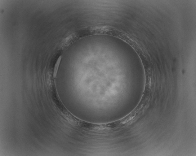 X0000051240708200506171110