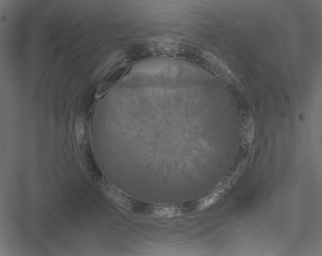 X0000051240709200506171110