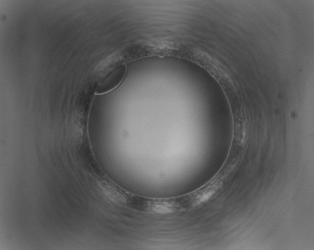 X0000051240710200506171110