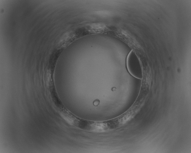 X0000051240711200506171110