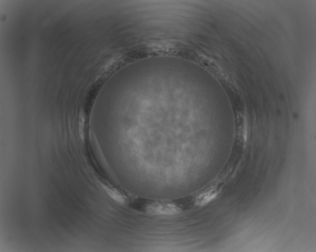 X0000051240712200506171110