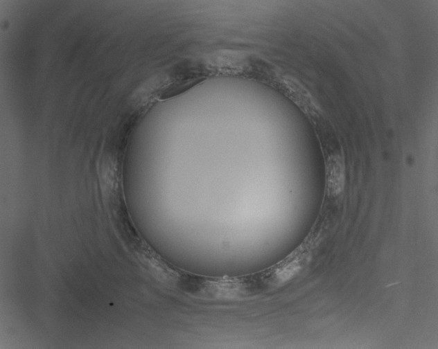 X0000051240713200506171110