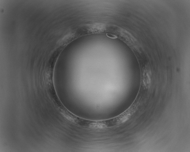 X0000051240714200506171110