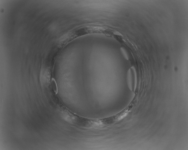 X0000051240715200506171110