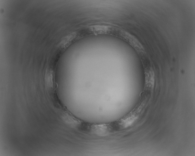 X0000051240717200506171110