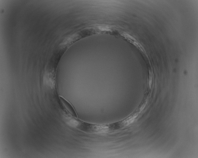 X0000051240719200506171110