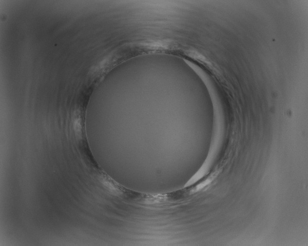 X0000051240720200506171110