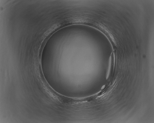 X0000051240721200506171109