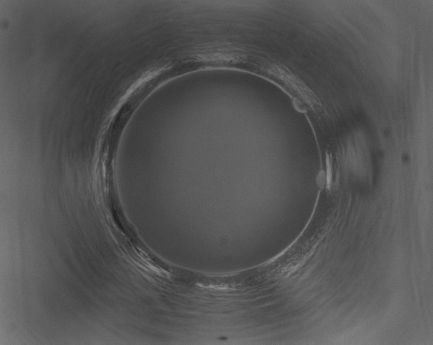 X0000051240723200506171109