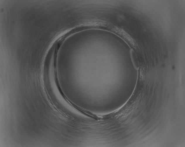 X0000051240724200506171109