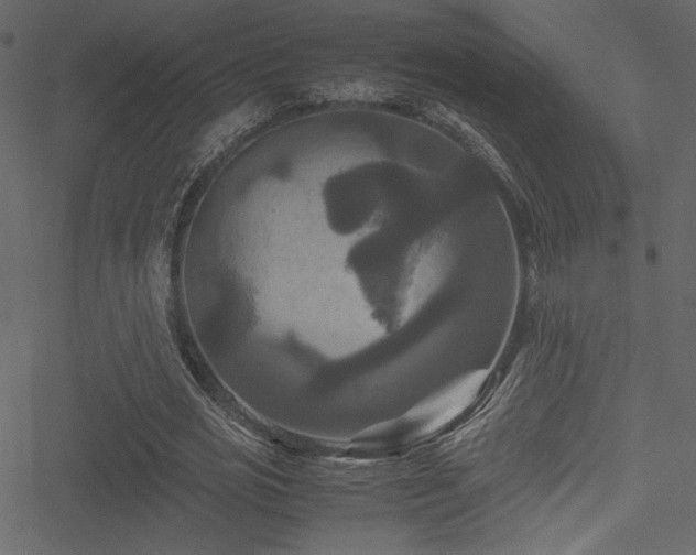 X0000051240725200506171109