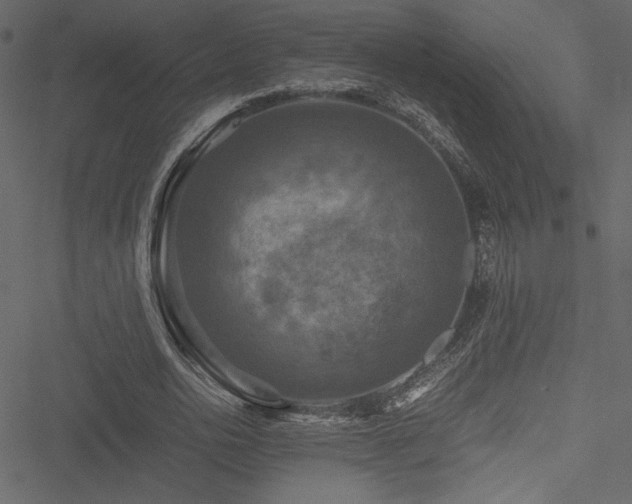 X0000051240726200506171109