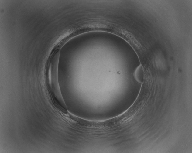 X0000051240727200506171109