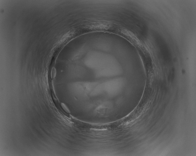 X0000051240729200506171109