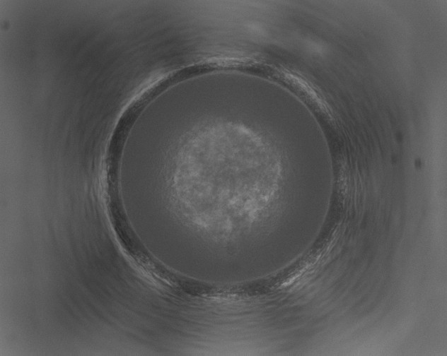 X0000051240730200506171109