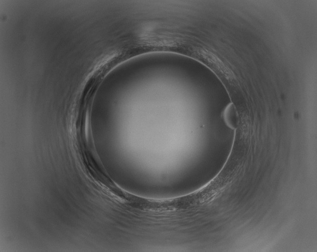 X0000051240731200506171109