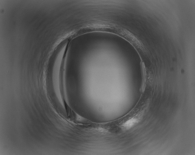 X0000051240732200506171109