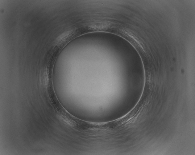 X0000051240733200506171109