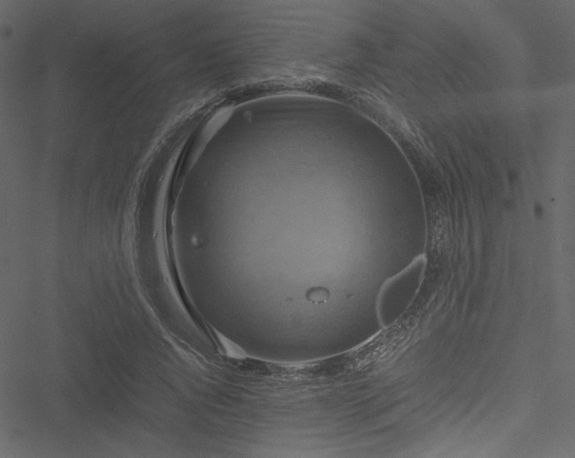 X0000051240736200506171109