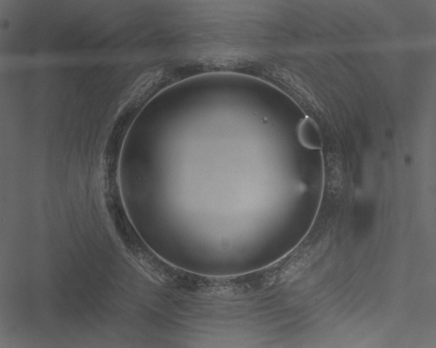 X0000051240738200506171110