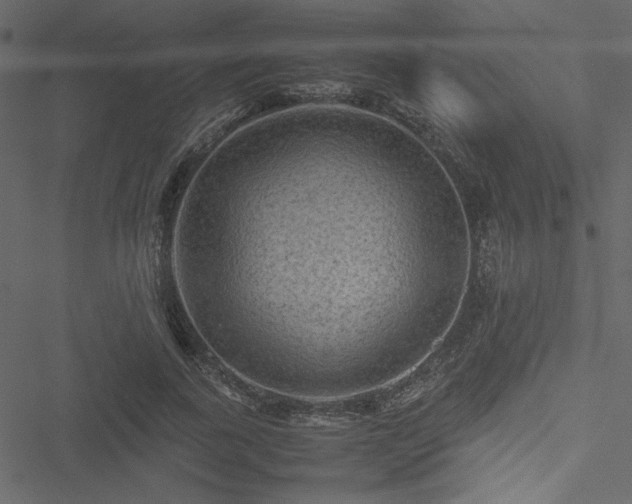 X0000051240739200506171110