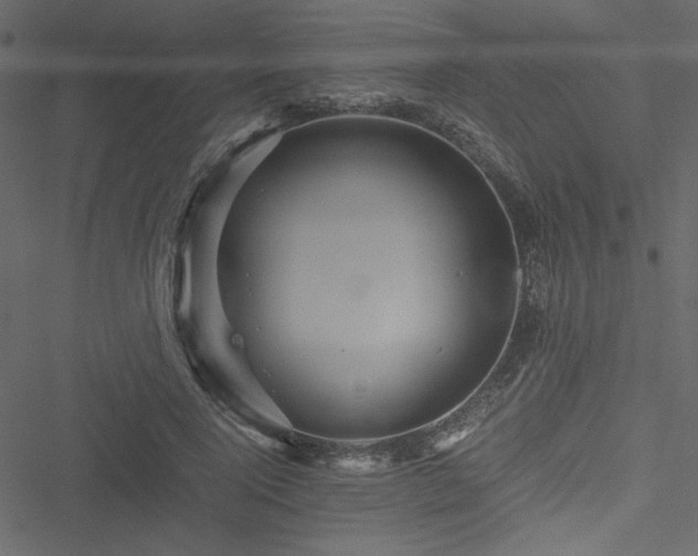 X0000051240740200506171110