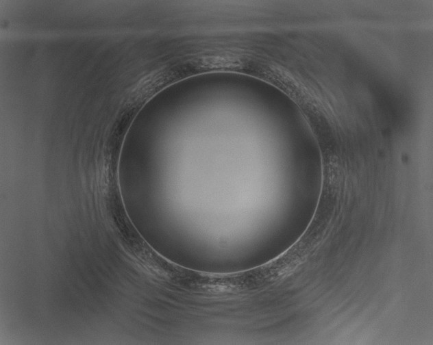 X0000051240741200506171110