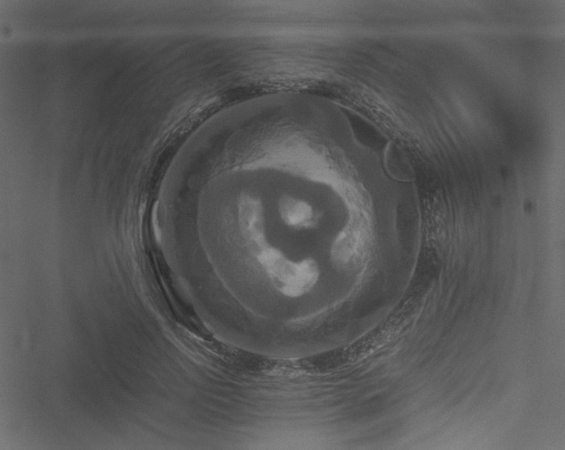 X0000051240742200506171110