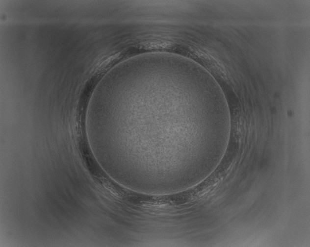 X0000051240743200506171110