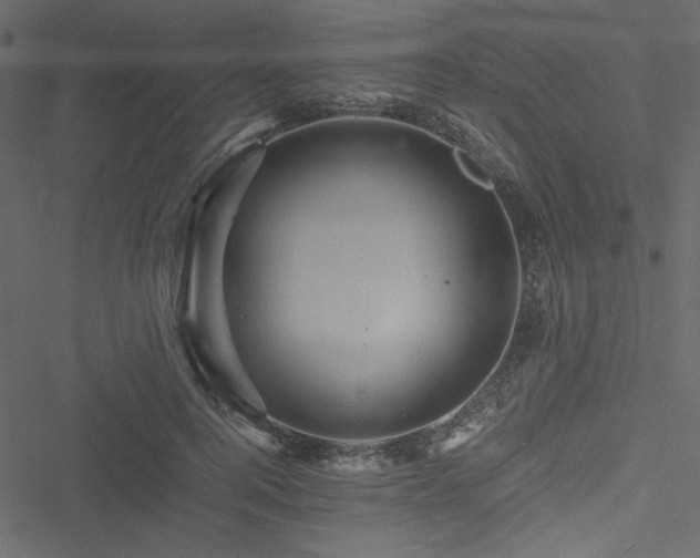 X0000051240744200506171110