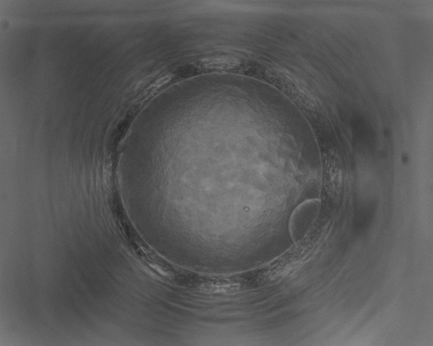 X0000051240745200506171110