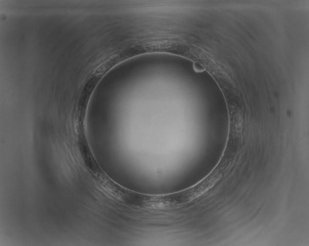 X0000051240746200506171110