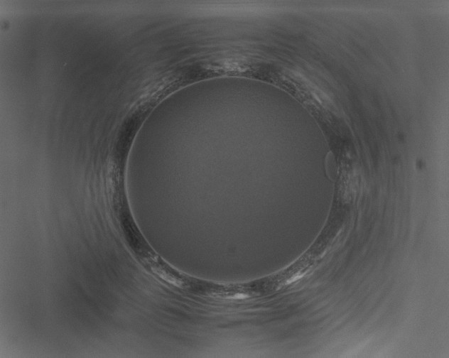 X0000051240747200506171110