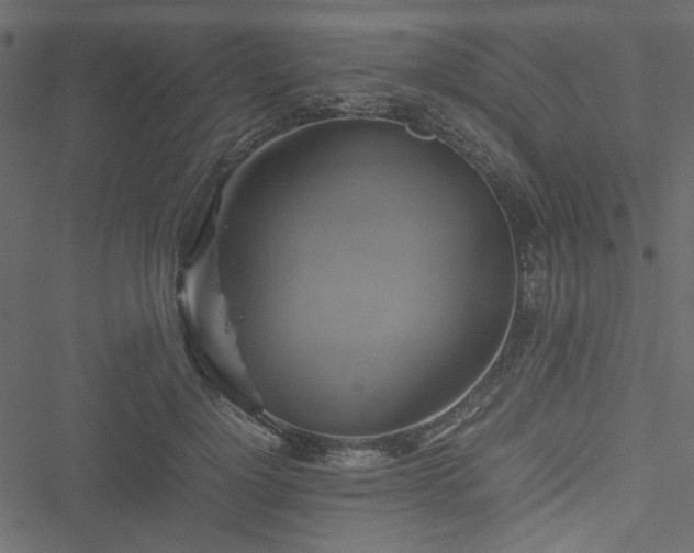 X0000051240748200506171110