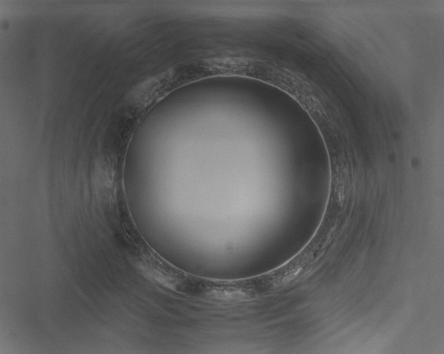 X0000051240749200506171110