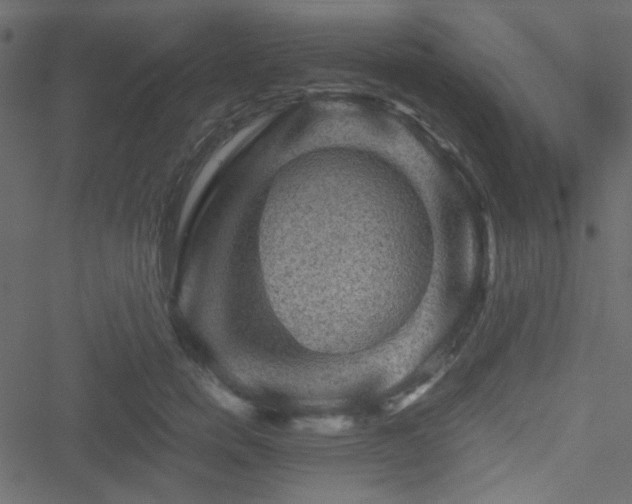 X0000051240750200506171110