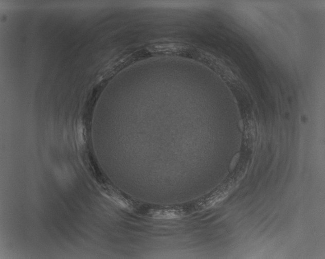 X0000051240751200506171110