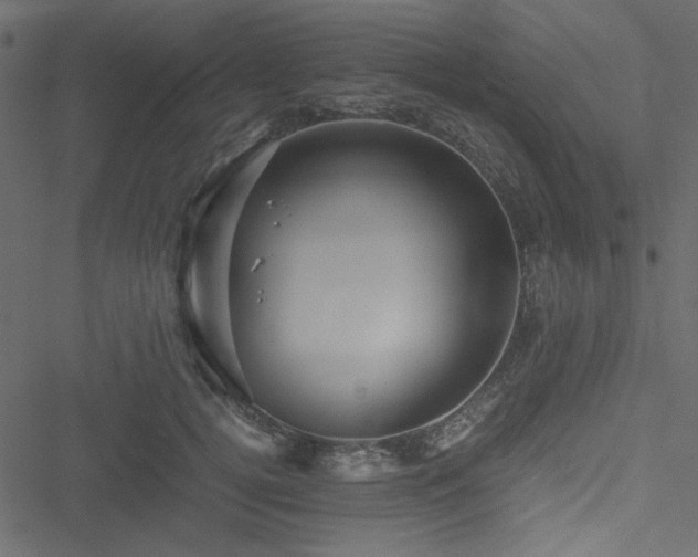 X0000051240752200506171110