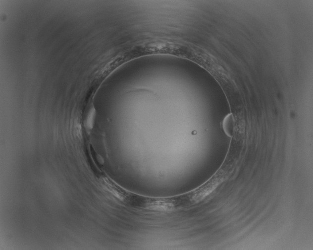 X0000051240754200506171110