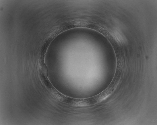 X0000051240755200506171110