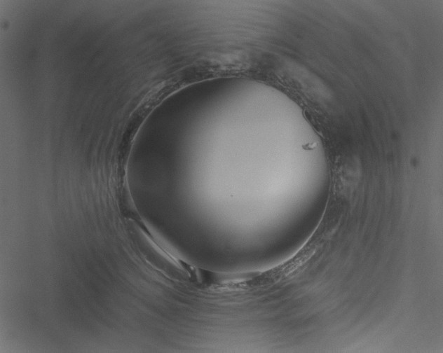 X0000051240756200506171110