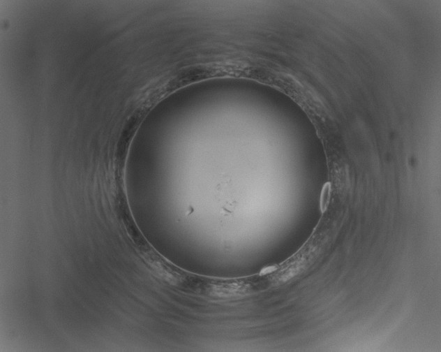 X0000051240757200506171110