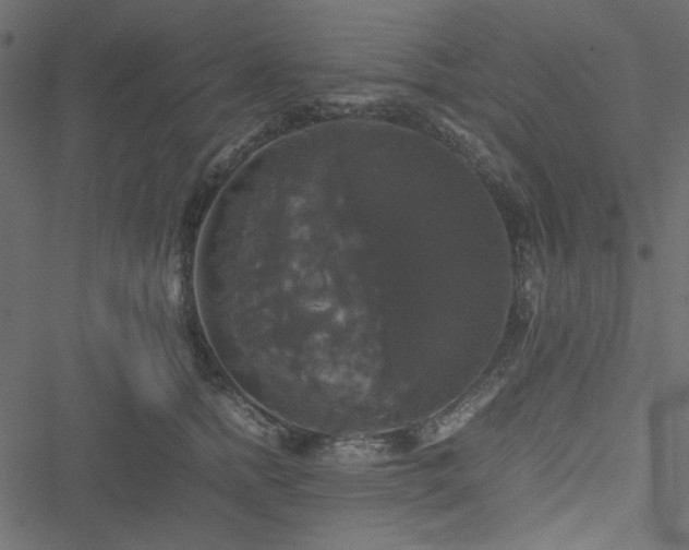 X0000051240758200506171110