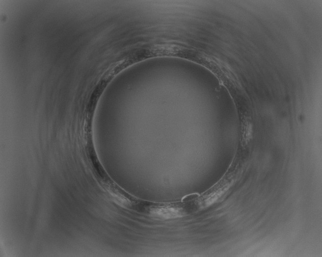 X0000051240759200506171110