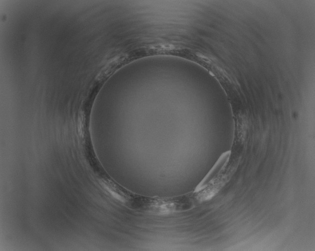 X0000051240760200506171110