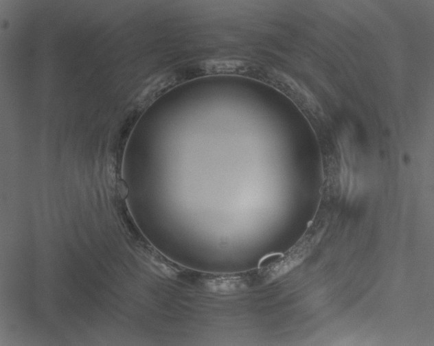 X0000051240761200506171110