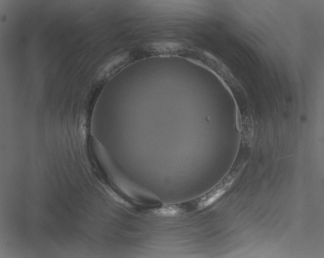 X0000051240762200506171110